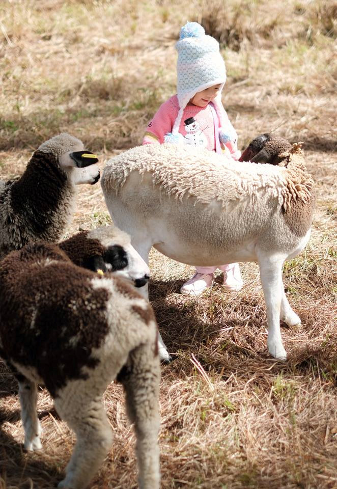 mot ngay trai nghiem tai thanh pho nghin hoa