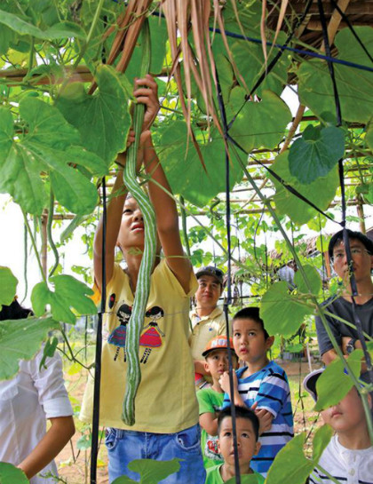 Family Garden Famili Garden ngay giữa khu Thảo Điền, quận 2, TP HCM là một địa điểm vui chơi cuối tuần với trải nghiệm mới lạ cho gia đình có con nhỏ. Các bé có thể tham gia cuốc đất, trồng rau, cả nhà còn được tận hưởng không khí thoáng mát và khung cảnh dân dã. 5 diem da ngoai ngay 1 6 cho gia dinh co con nho