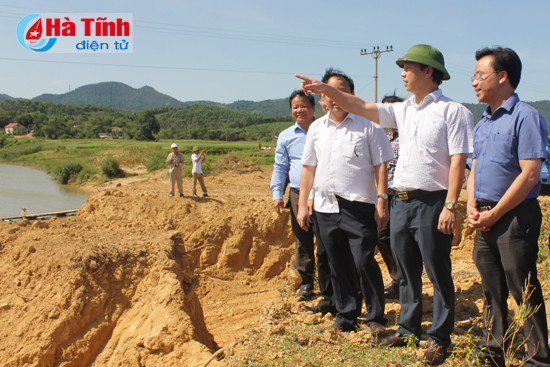 khoi cong cau cho hom phuong my tri gia gan 50 ty dong