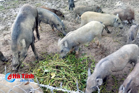 xay nha hang 3 ty dong de dua san pham tu trang trai den ban an