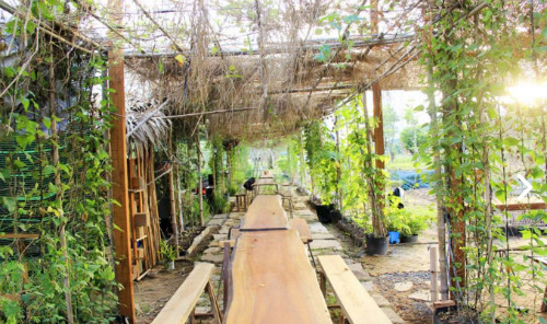 Trên một khoảnh đất được giao riêng, bố mẹ sẽ tự cuốc đất, làm tơi xốp sau đó lấy cây giống, hạt giống để trồng hoặc gieo, công đoạn cuối cùng là phủ lớp đất mặt, tưới nước. Ở mỗi mảnh vườn đều ghi ngày tháng, tên gia đình để các vị khách có thể ghé lại, thăm nom luống rau của mình. Khi khách không ở đây, những công nhân chăm sóc khu vườn sẽ nhổ cỏ, tưới nước cho cây. Ngoài ra, khách tham quan còn thử hái rau cho thỏ ăn, ra ao tát cá, tắm ao và tham gia chợ phiên mini. 5 diem da ngoai ngay 1 6 cho gia dinh co con nho