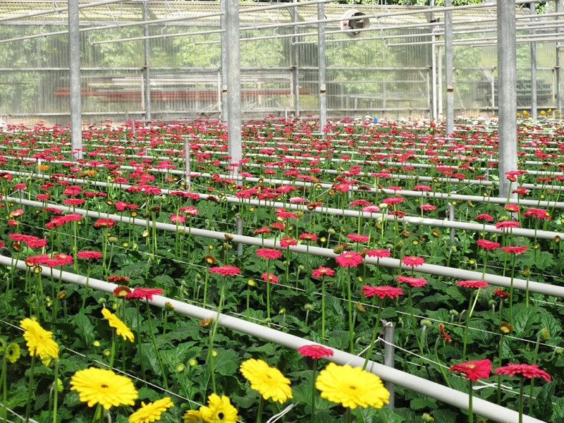 mot ngay trai nghiem tai thanh pho nghin hoa