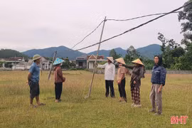 Nhiều hộ dân Tùng Lộc "khát" điện lưới 