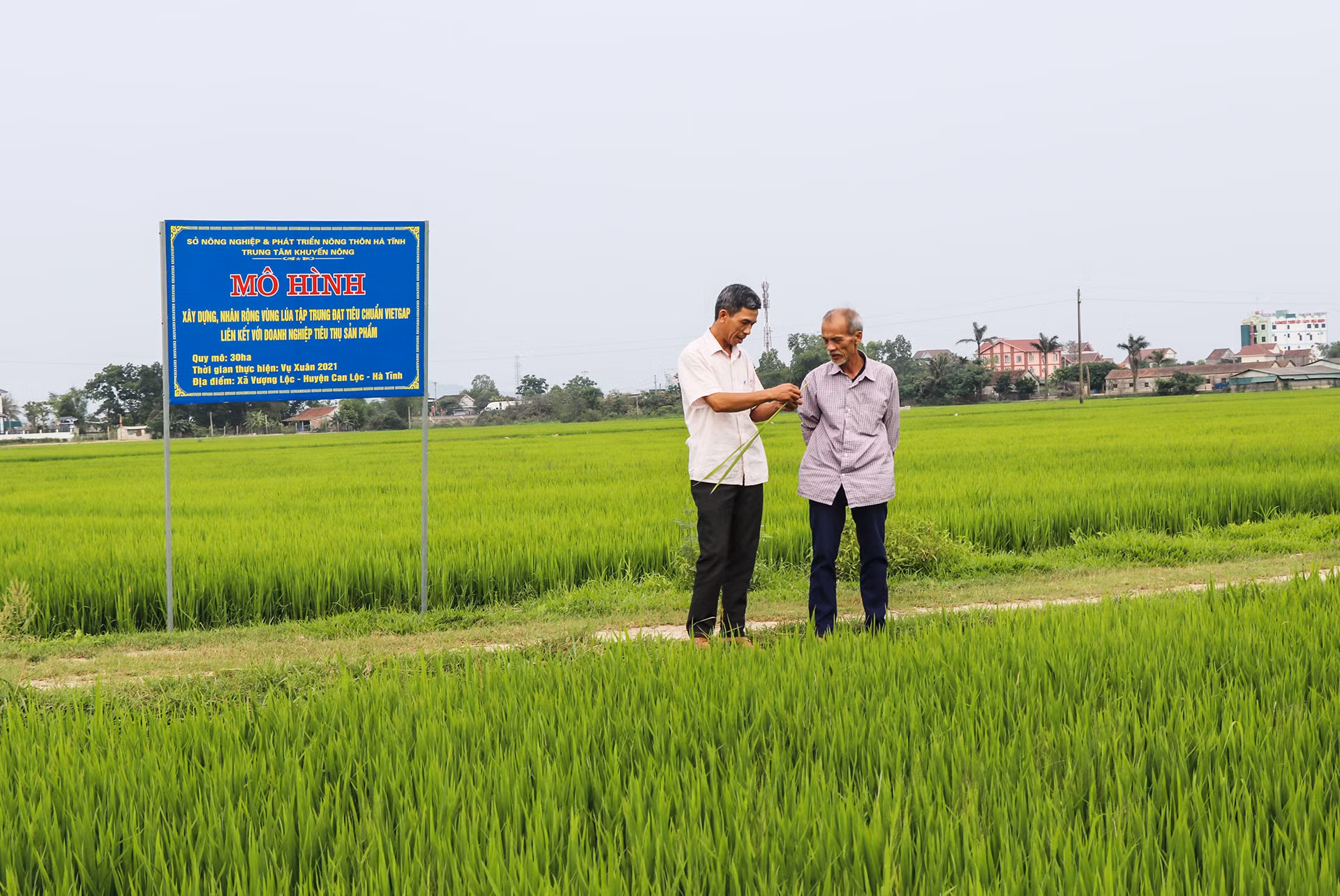 Phát triển kinh tế trong xây dựng huyện Can Lộc đạt chuẩn NTM nâng cao (bài 1): Sản xuất theo chiều sâu ở 3 vùng sinh thái