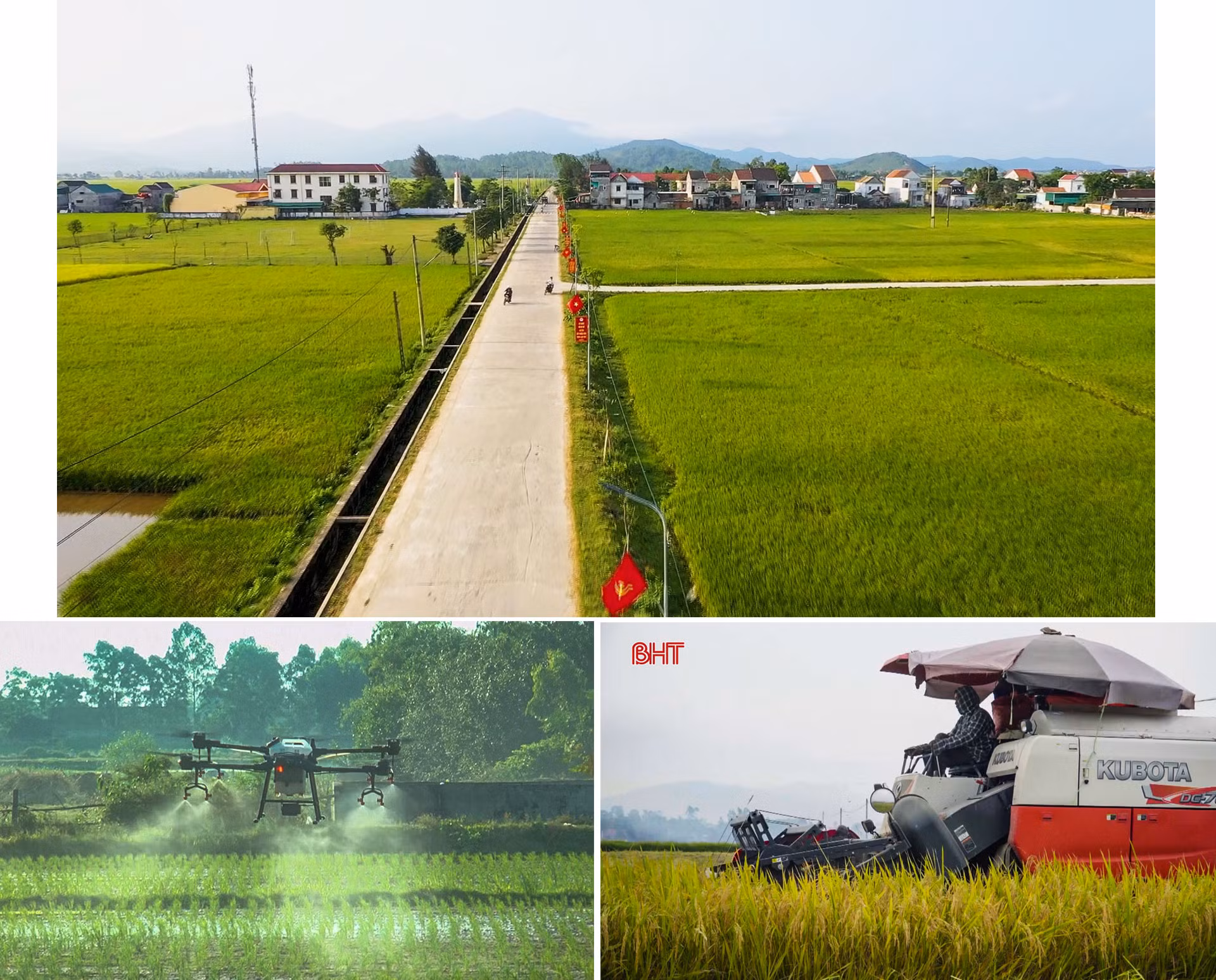 Phát triển kinh tế trong xây dựng huyện Can Lộc đạt chuẩn NTM nâng cao (bài 1): Sản xuất theo chiều sâu ở 3 vùng sinh thái