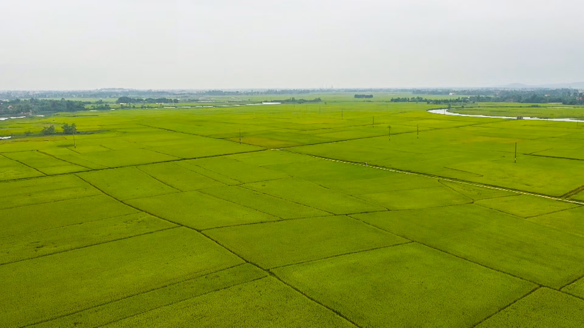 Phát triển kinh tế trong xây dựng huyện Can Lộc đạt chuẩn NTM nâng cao (bài 1): Sản xuất theo chiều sâu ở 3 vùng sinh thái