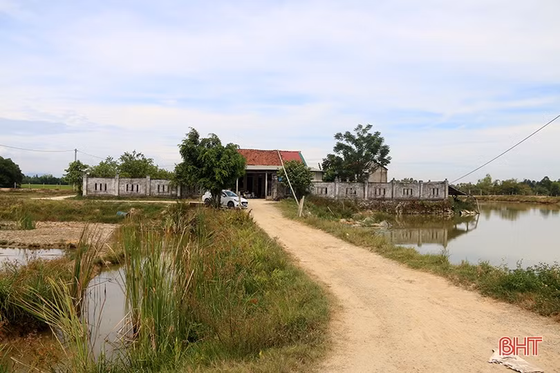 Dứt điểm việc thu hồi đất, tài sản dự án Làng TNXP nuôi trồng thủy sản Thạch Kênh