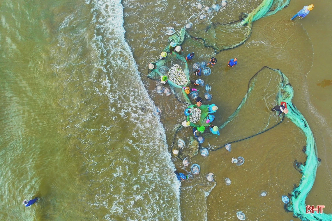 Xem ngư dân Nghi Xuân “đi giật lùi” kéo lưới rùng