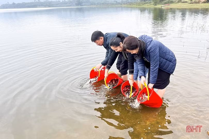 Thả 2,24 tấn cá giống tái tạo nguồn lợi thủy sản ở Đức Thọ