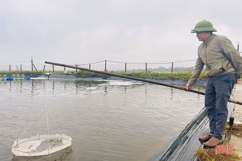 Thời tiết chuyển rét, nông dân Hà Tĩnh chủ động bảo vệ thủy sản nuôi