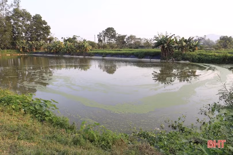 Bí quyết “biến” đất hoang thành trang trại tiền tỷ của cựu cán bộ xã ở Hương Sơn