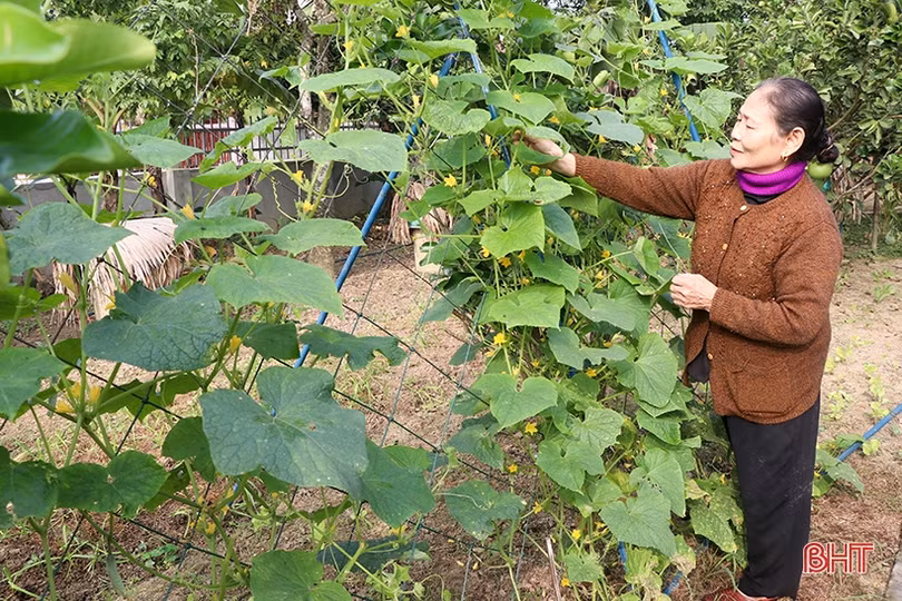 Xóm đạo Cử Lâm “thay áo mới”...