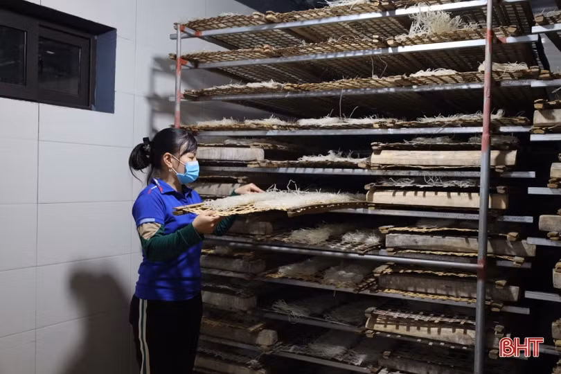 Sản phẩm OCOP Thạch Hà tăng tốc phục vụ thị trường tết