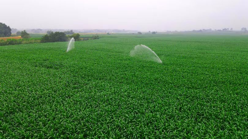 Vinamilk: Doanh nghiệp thực hiện tốt mô hình kinh tế tuần hoàn, ứng phó với biến đổi khí hậu