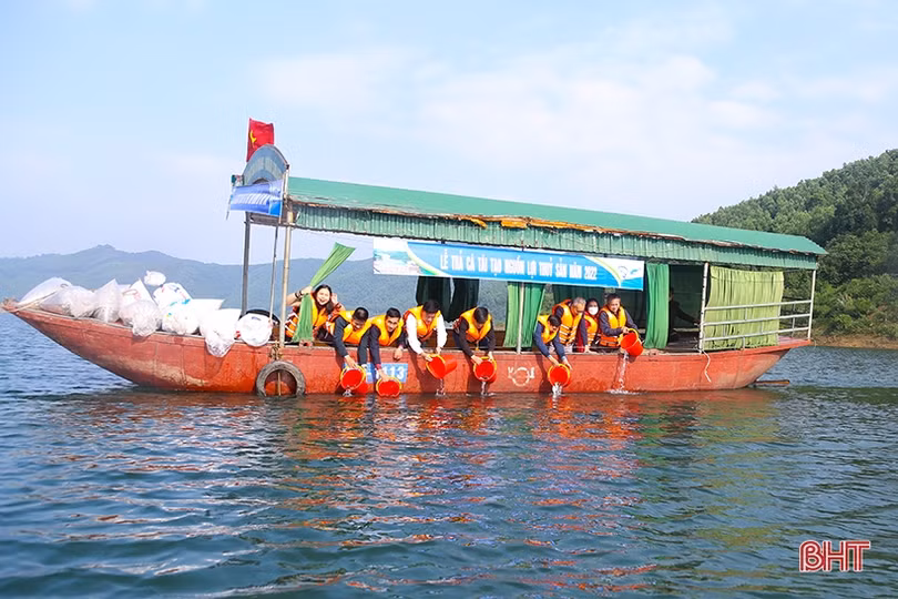 Thả gần 2,4 tấn cá giống xuống hồ Ngàn Trươi