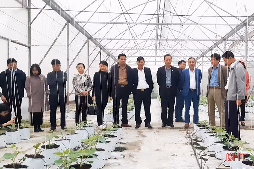 Xứng đáng với vai trò là tổ chức chính trị - xã hội của đội ngũ trí thức KH&CN