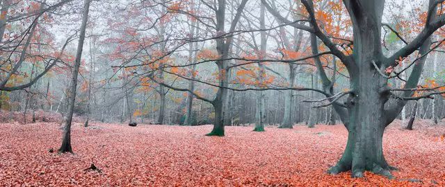 Những ứng dụng sửa ảnh tốt và miễn phí cho iPhone và Android