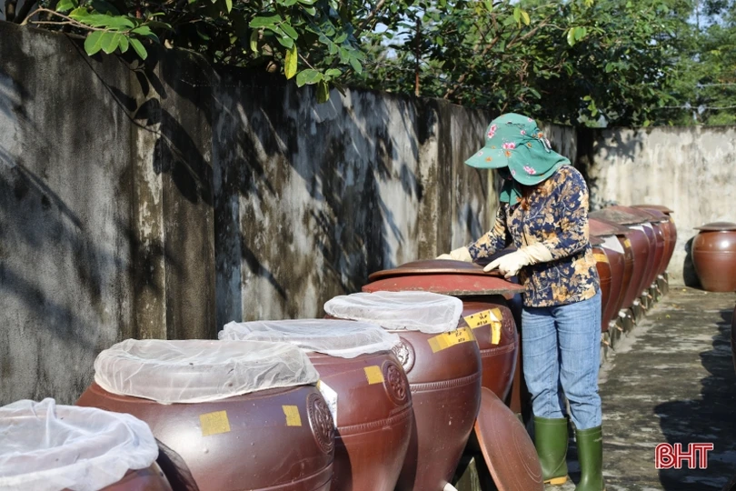 Sản phẩm OCOP Thạch Hà tăng tốc phục vụ thị trường tết