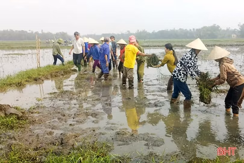 Thạch Sơn đi lên từ nghèo khó