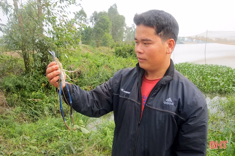 Thạch Sơn đi lên từ nghèo khó