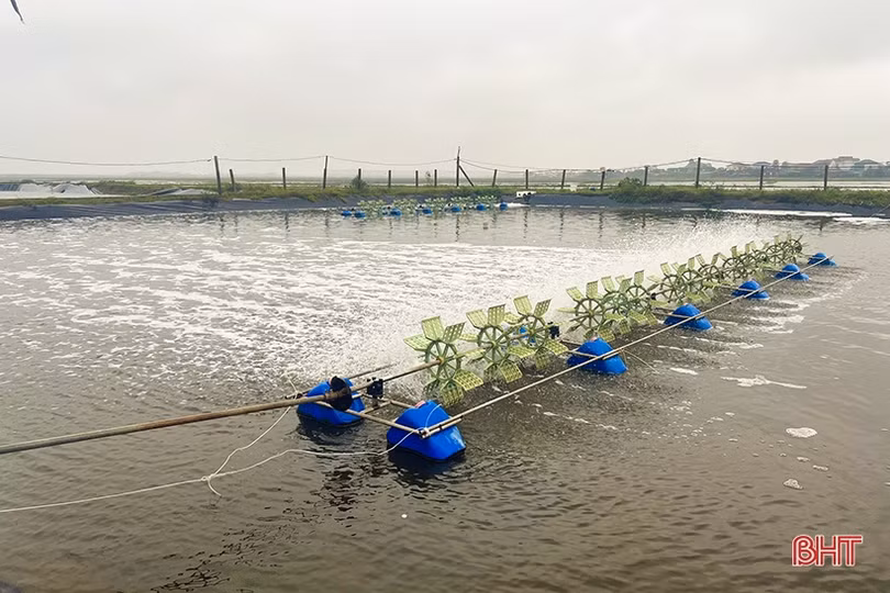 Thời tiết chuyển rét, nông dân Hà Tĩnh chủ động bảo vệ thủy sản nuôi