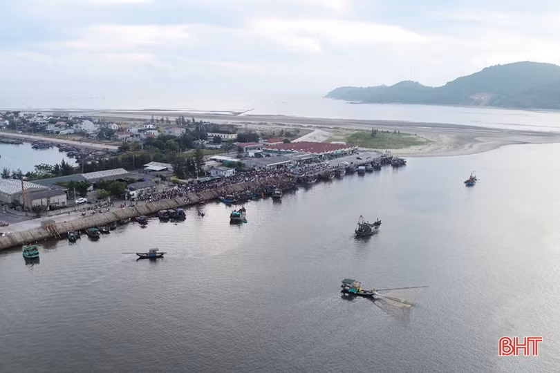 Sớm xây dựng thương hiệu tập thể để nâng tầm hải sản Cửa Sót