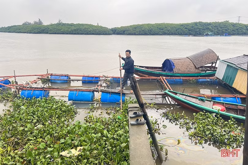 Thời tiết chuyển rét, nông dân Hà Tĩnh chủ động bảo vệ thủy sản nuôi