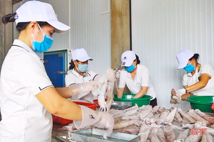 Sớm xây dựng thương hiệu tập thể để nâng tầm hải sản Cửa Sót