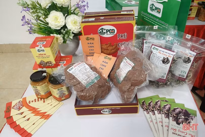 Sản phẩm OCOP Thạch Hà tăng tốc phục vụ thị trường tết