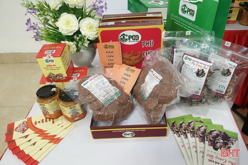 Sản phẩm OCOP Thạch Hà tăng tốc phục vụ thị trường tết