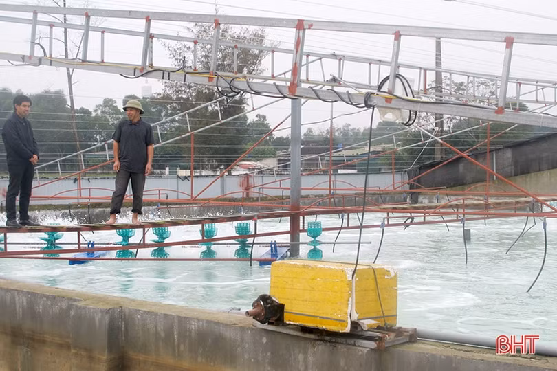 Thạch Sơn đi lên từ nghèo khó