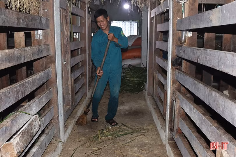 Nông dân Hương Sơn tích cực chăm hươu chờ hái “lộc”