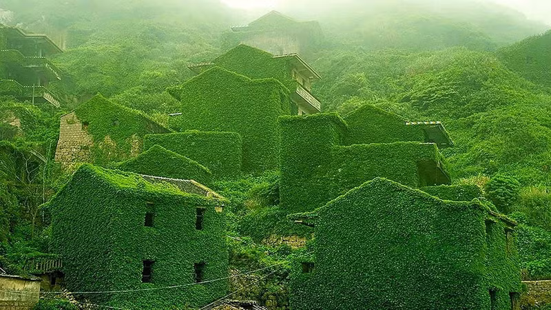 25 buc anh tuyet dep ve nhung vung dat bi bo quen