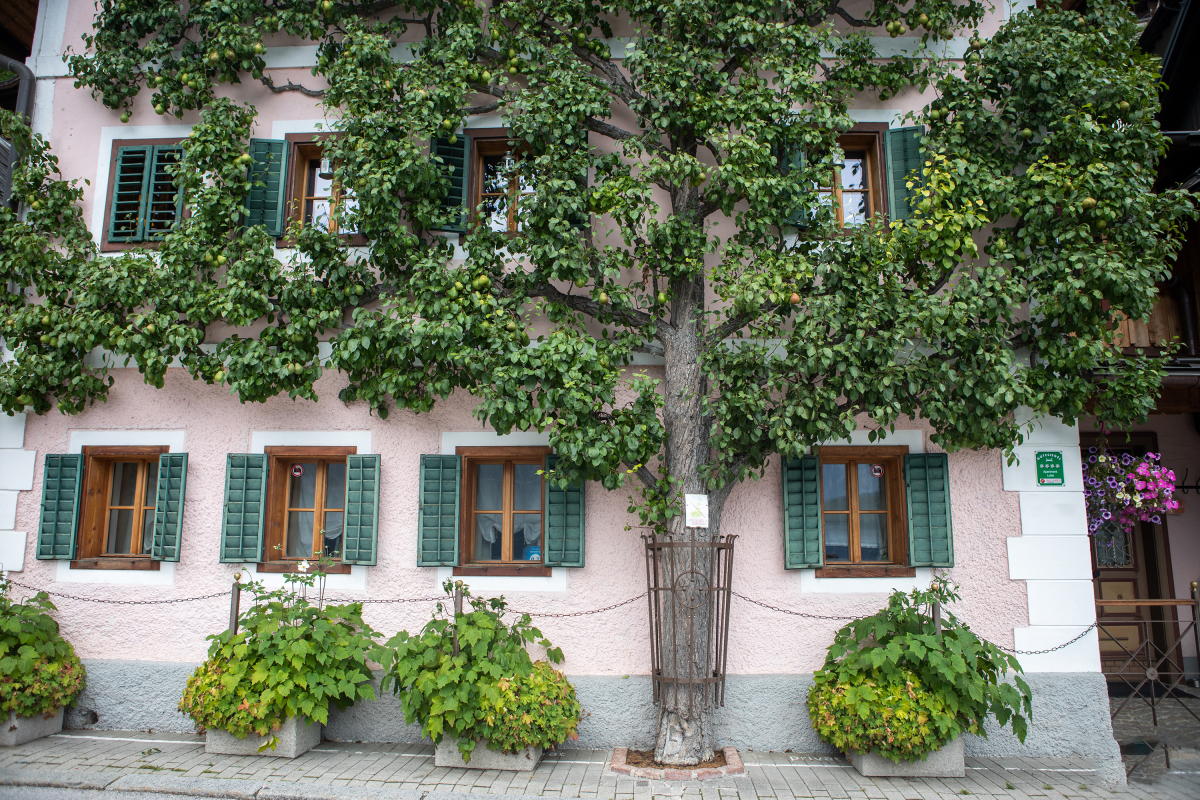 Hallstatt - một trong 50 thị trấn đẹp nhất thế giới