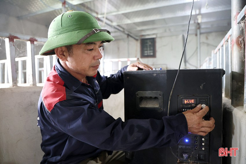 Ông Sơn mở nhạc thường xuyên cho đàn lợn nghe... bqbht_br_img-5693-1.jpg
