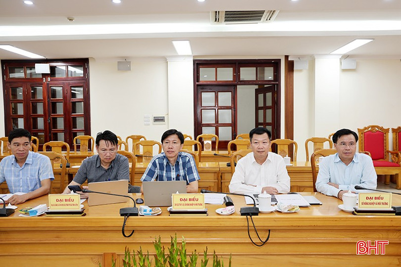 Đại biểu tham dự tại điểm cầu Hà Tĩnh bqbht_br_img-8422-11.jpg