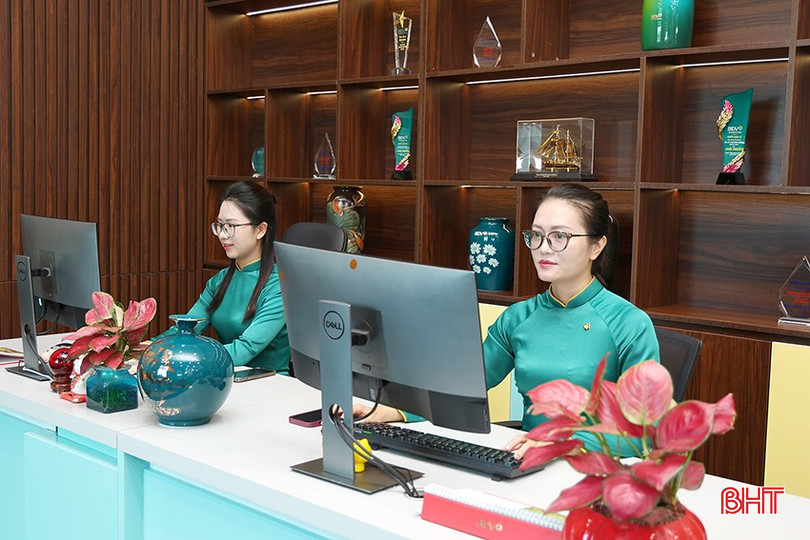 Đội ngũ nhân viên làm việc chuyên nghiệp, tận tâm. bqbht_br_img-5c529.jpg