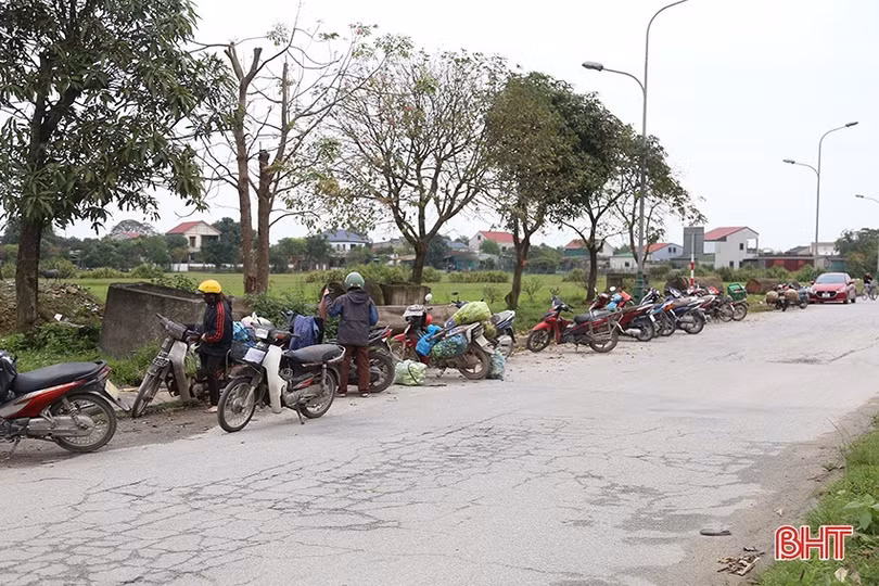 bht-b67.jpg