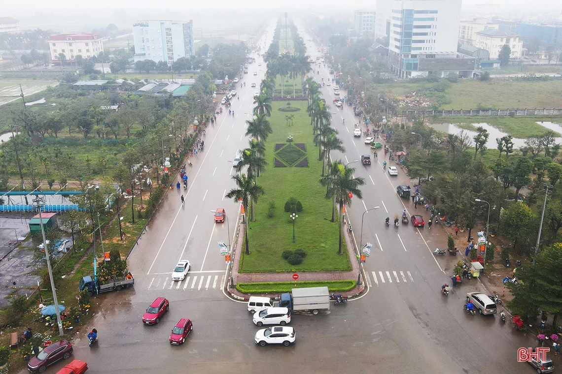 Đào, quất chiều 30 tết: Xả hàng vẫn vắng người mua!
