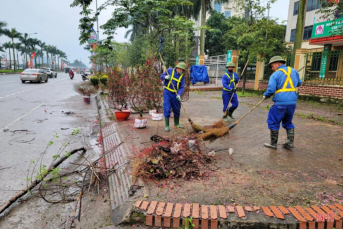 Đào, quất chiều 30 tết: Xả hàng vẫn vắng người mua!