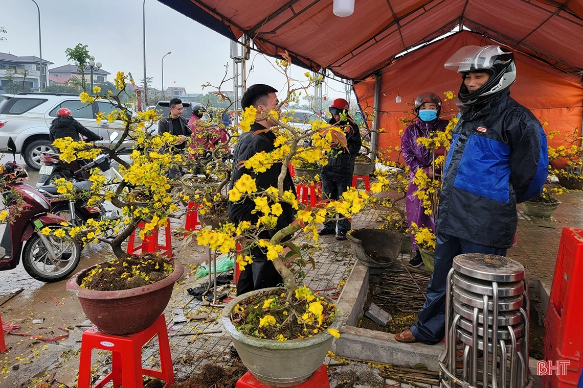 Đào, quất chiều 30 tết: Xả hàng vẫn vắng người mua!