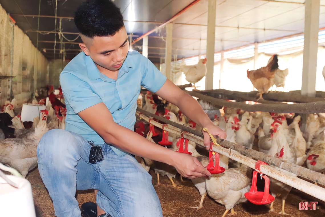Nuôi gà đẻ trứng, thanh niên Hà Tĩnh lãi trên 700 triệu đồng/năm