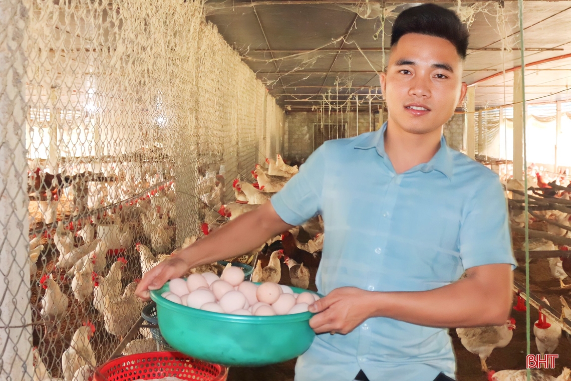 Nuôi gà đẻ trứng, thanh niên Hà Tĩnh lãi trên 700 triệu đồng/năm