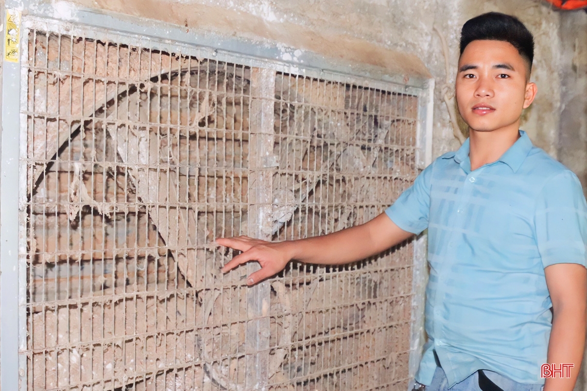 Nuôi gà đẻ trứng, thanh niên Hà Tĩnh lãi trên 700 triệu đồng/năm