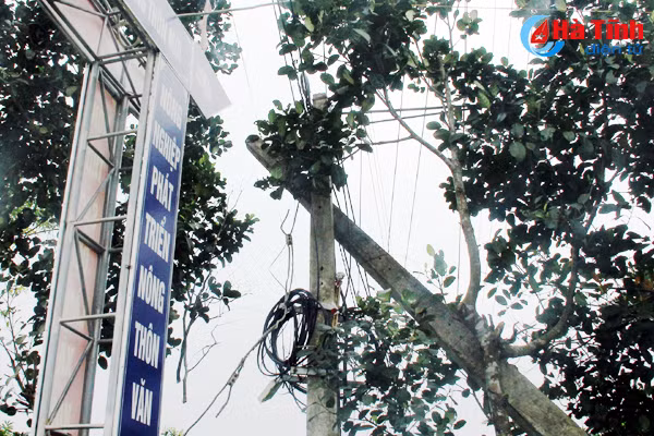 tet den noi nhieu xa o huong son van lo mat an toan luoi dien