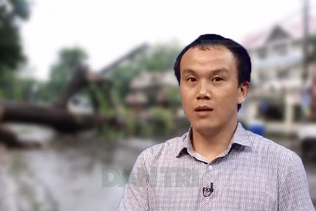 co the ret dam ret hai trong dip tet mau tuat 2018