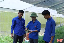 Khởi nghiệp từ những mầm hoa