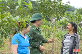 Triển vọng từ cây dó trầm ở bản Rào Tre
