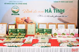 "Bánh đa nem Hà Tĩnh": Nhãn hiệu chung mở lối cho thương hiệu riêng