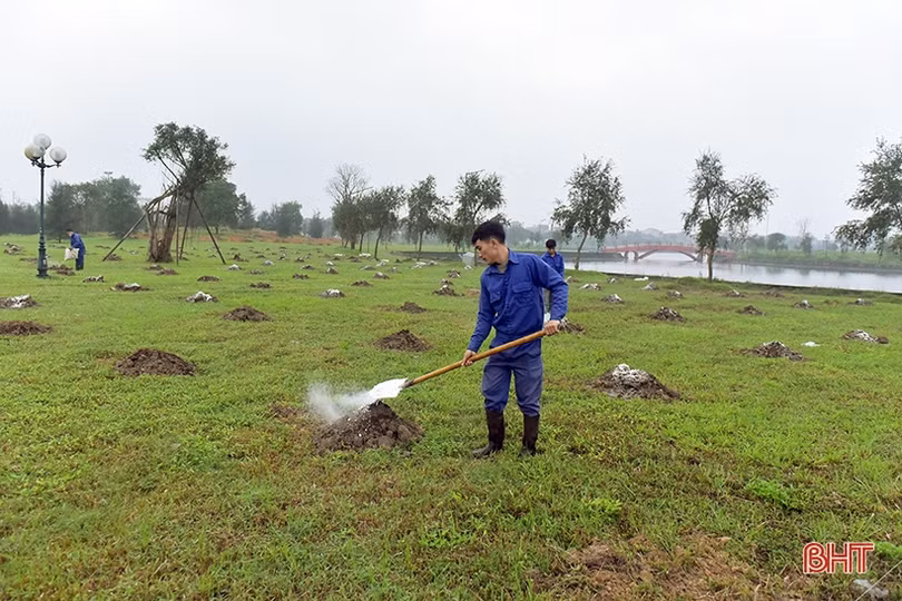 1 người dân Hà Tĩnh tặng 5.000 cây xanh xây dựng không gian đô thị